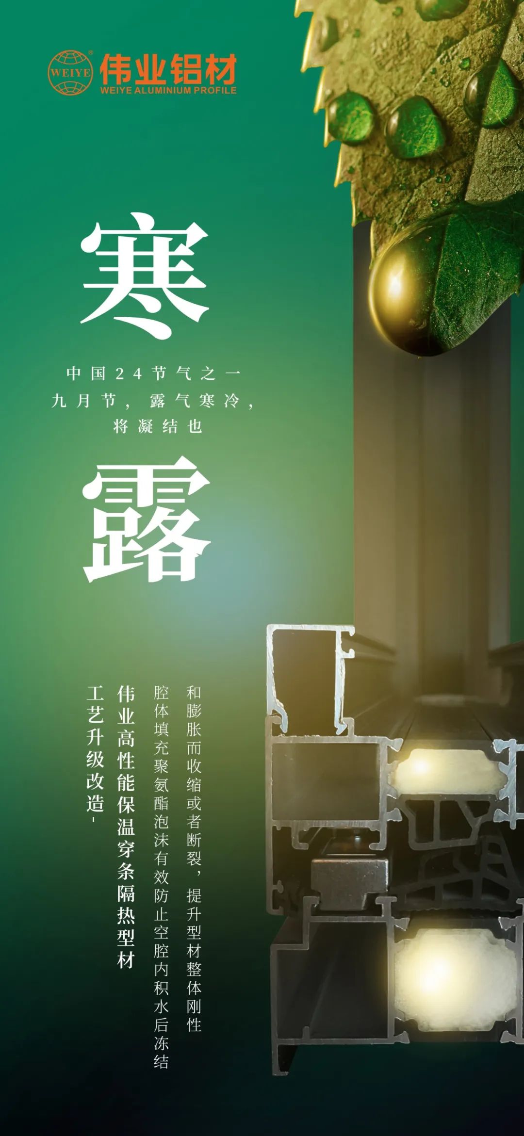 #寒露 九月節(jié)，露氣寒冷，將凝結(jié)也 時(shí)光入深秋，歲月便深情
